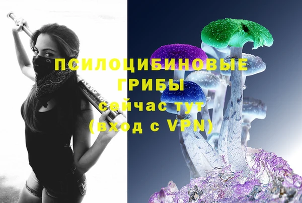 меф Арсеньев